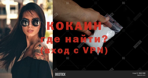 ГАЛЛЮЦИНОГЕННЫЕ ГРИБЫ Богданович