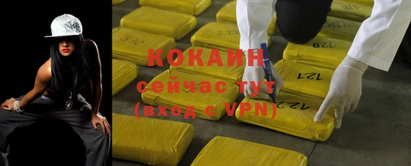 ГАЛЛЮЦИНОГЕННЫЕ ГРИБЫ Богданович