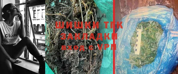 ГАЛЛЮЦИНОГЕННЫЕ ГРИБЫ Богданович