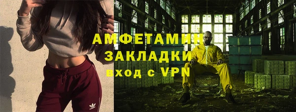 ГАЛЛЮЦИНОГЕННЫЕ ГРИБЫ Богданович