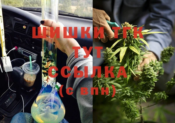 ГАЛЛЮЦИНОГЕННЫЕ ГРИБЫ Богданович