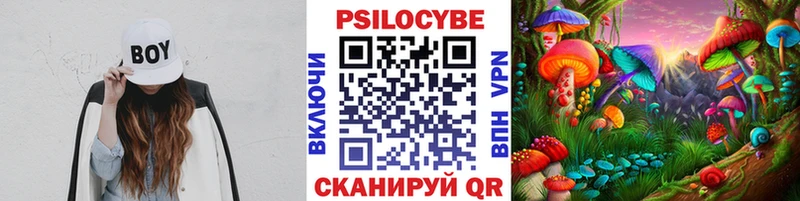 Псилоцибиновые грибы Psilocybe магазин shop какой сайт Меленки