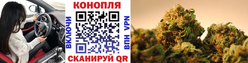 закладки  Меленки  Каннабис гибрид 